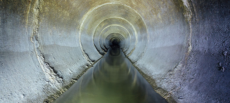 Bild für Wasserschäden und Schimmelschäden
