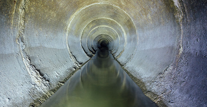 Bild für Wasserschäden und Schimmelschäden