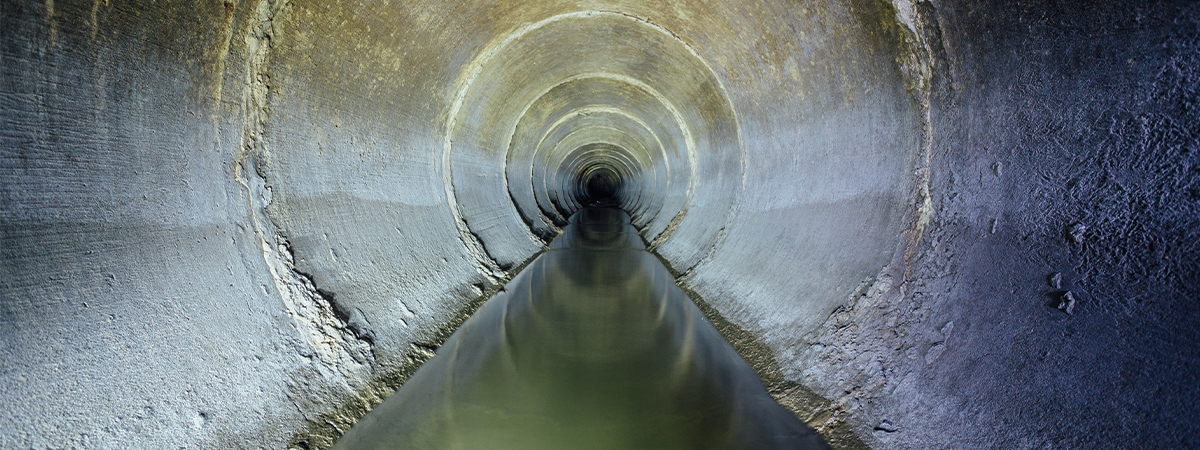 Wasserschäden | Schimmelschäden Bild für Wasserschäden und Schimmelschäden